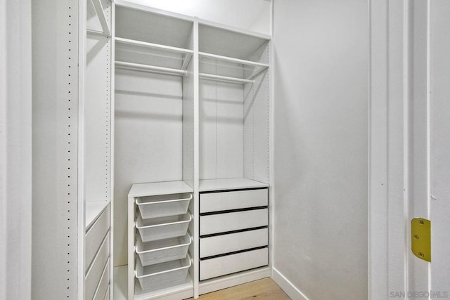 walk in closet featuring light hardwood / wood-style floors