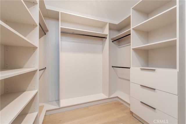 spacious closet with light hardwood / wood-style flooring