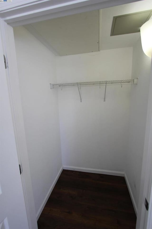 spacious closet with dark wood-type flooring