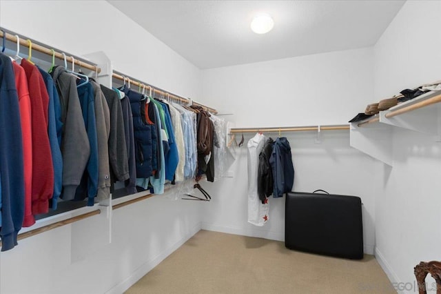 spacious closet with light colored carpet