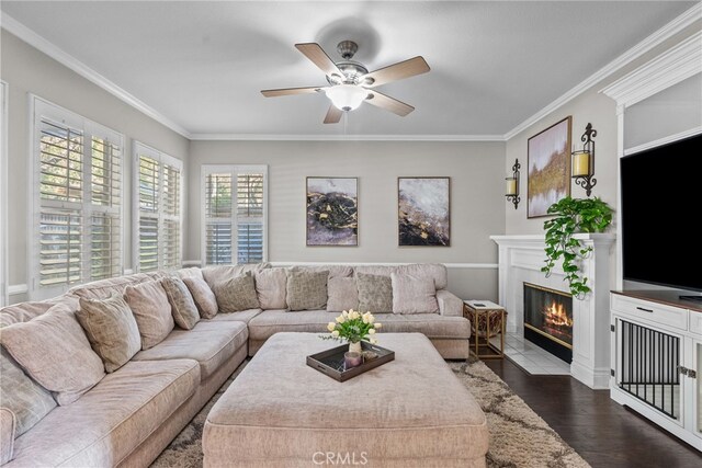 living room with dark wood-type flooring, ornamental molding, and ceiling fan