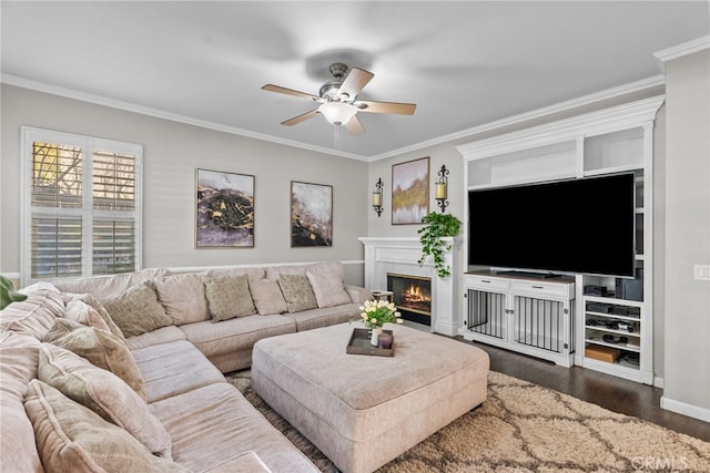 living room featuring ceiling fan, dark wood-type flooring, and crown molding