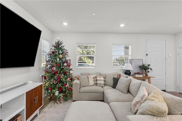 living room with light hardwood / wood-style floors