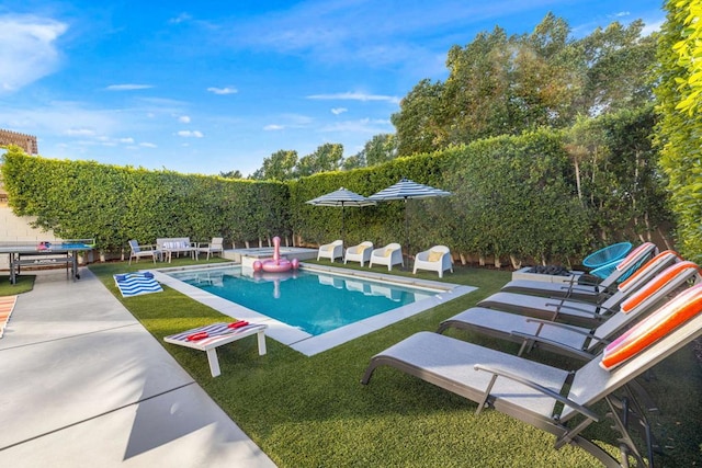 view of swimming pool featuring a patio area and a lawn