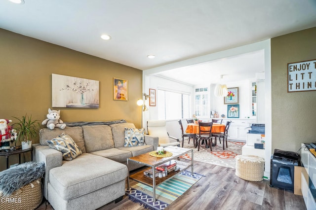 living room featuring wood-type flooring