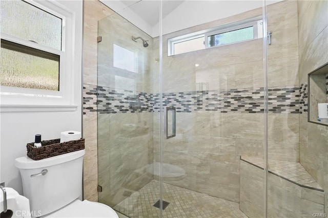 bathroom featuring toilet, lofted ceiling, and a shower with door