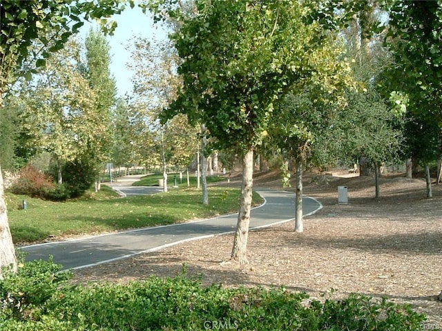 view of property's community