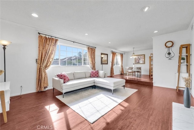 living room featuring dark wood-type flooring