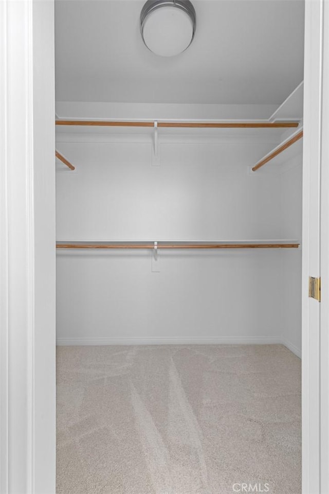 walk in closet featuring light colored carpet