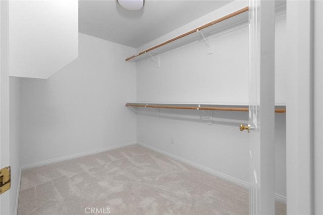 spacious closet featuring light carpet