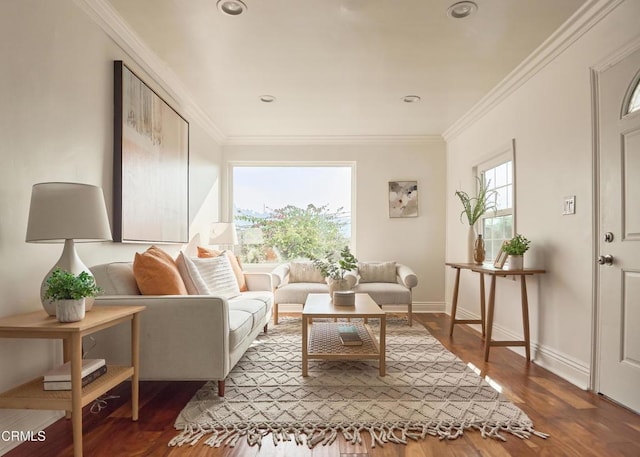 living area with hardwood / wood-style flooring and ornamental molding