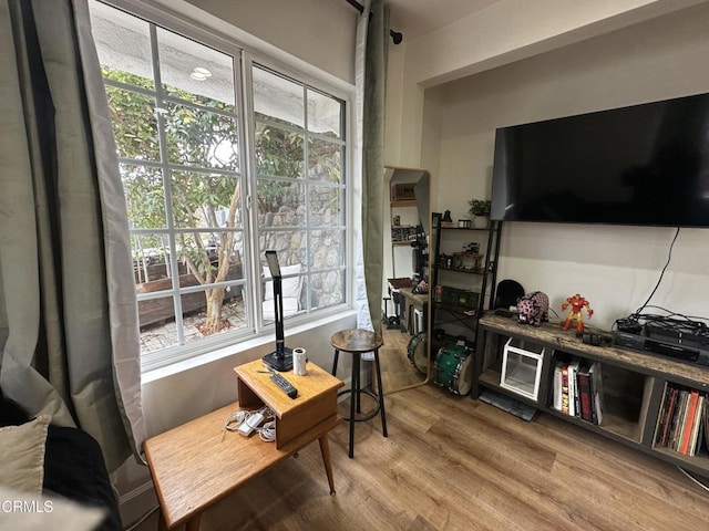 sitting room featuring hardwood / wood-style floors