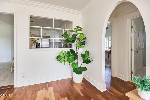 hall featuring dark hardwood / wood-style floors and ornamental molding