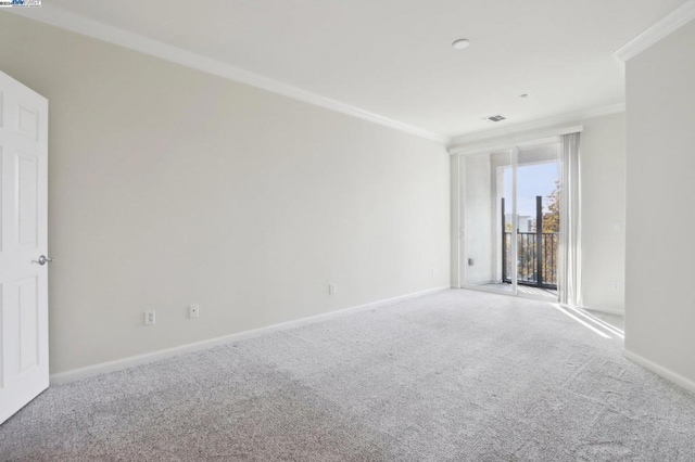 empty room featuring carpet and crown molding