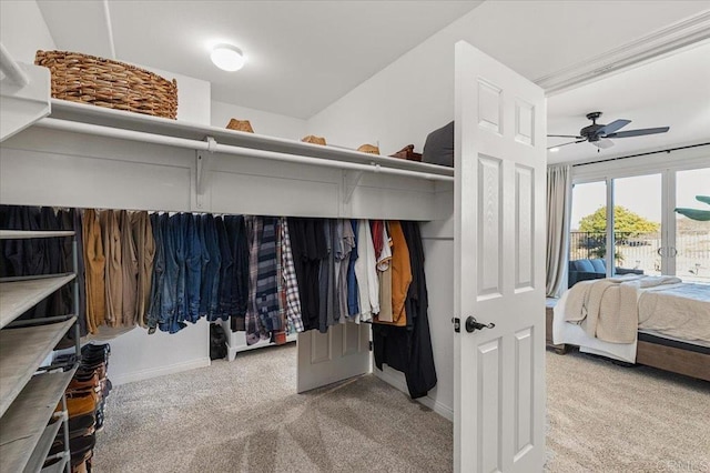 spacious closet with ceiling fan and light colored carpet