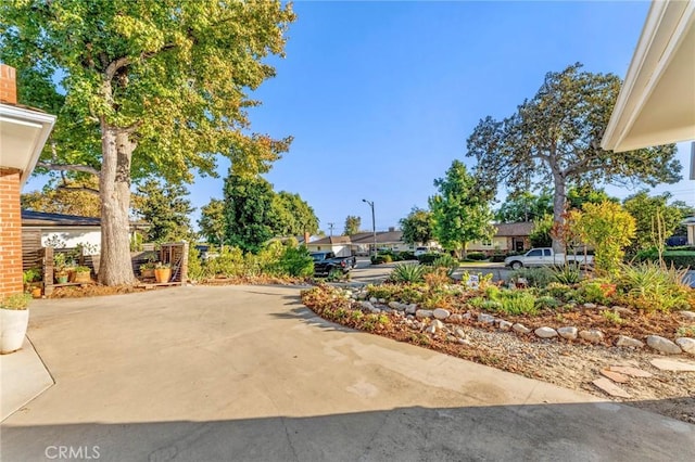 view of yard featuring a patio