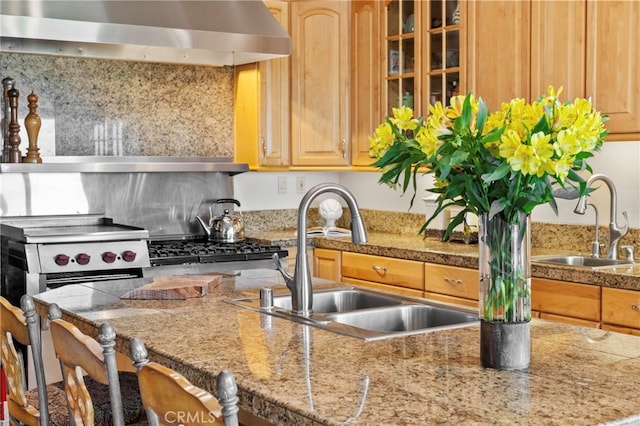 kitchen with decorative backsplash, sink, and light brown cabinets