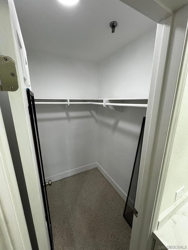 walk in closet with carpet floors