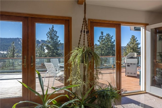 doorway to outside featuring a mountain view and french doors