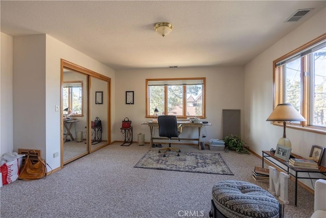 carpeted home office featuring a healthy amount of sunlight