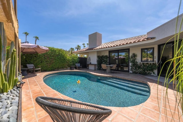 view of swimming pool with a patio