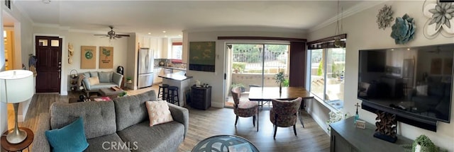 living room featuring ornamental molding, wood-type flooring, and ceiling fan