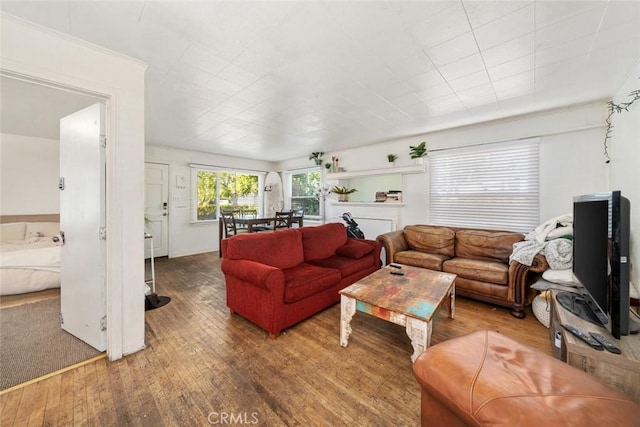 living room with hardwood / wood-style floors