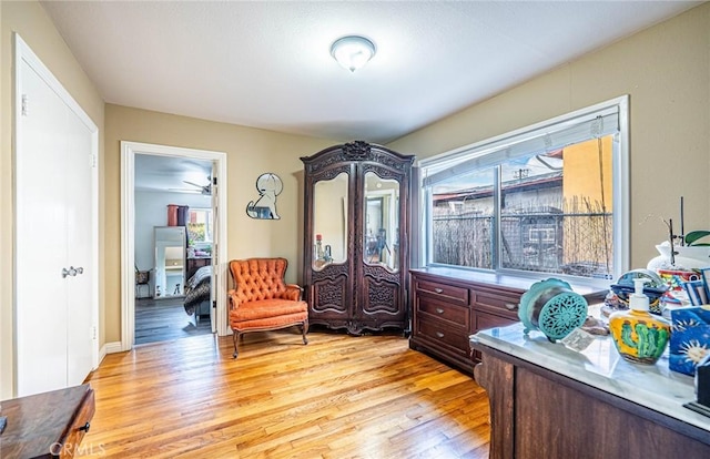 living area with light hardwood / wood-style floors