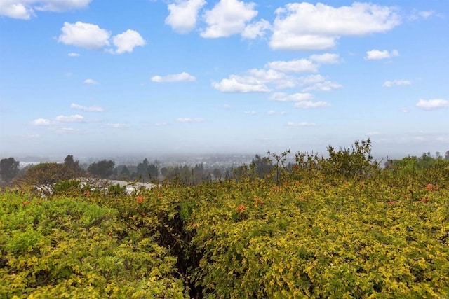 view of landscape