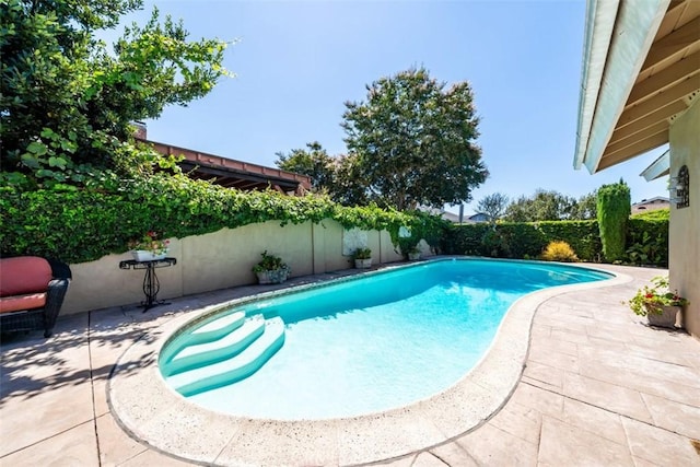 view of pool featuring a patio area