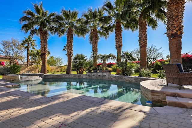 view of swimming pool with a patio and an in ground hot tub