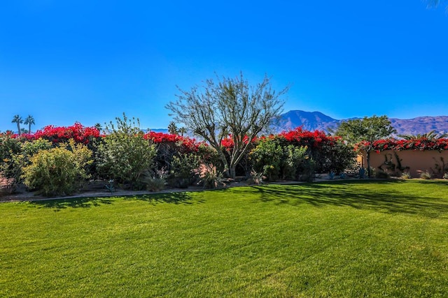 view of yard with a mountain view