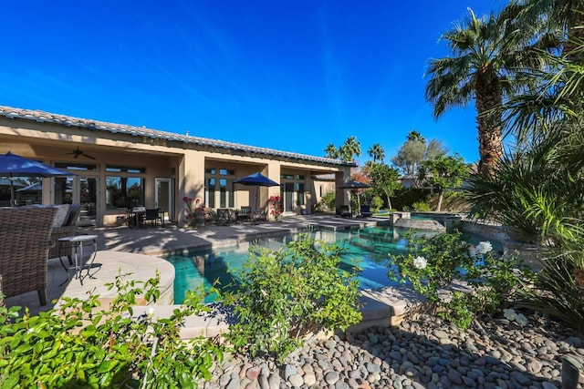 view of swimming pool featuring a patio area and ceiling fan