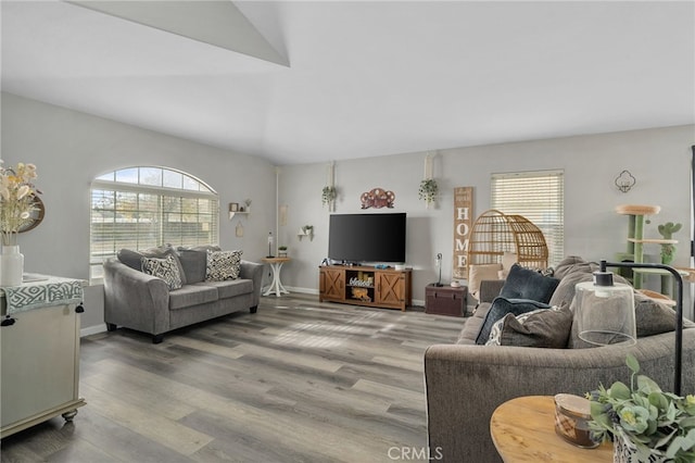 living room with hardwood / wood-style flooring and plenty of natural light