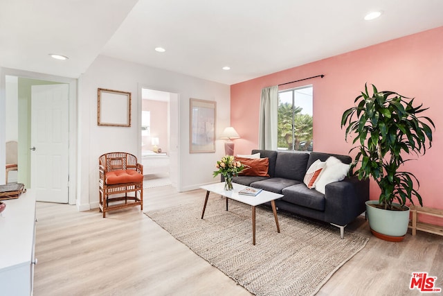 living room with light hardwood / wood-style flooring