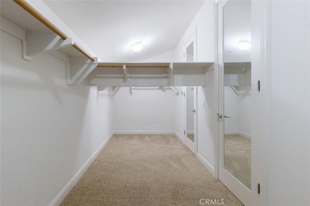 walk in closet with light colored carpet