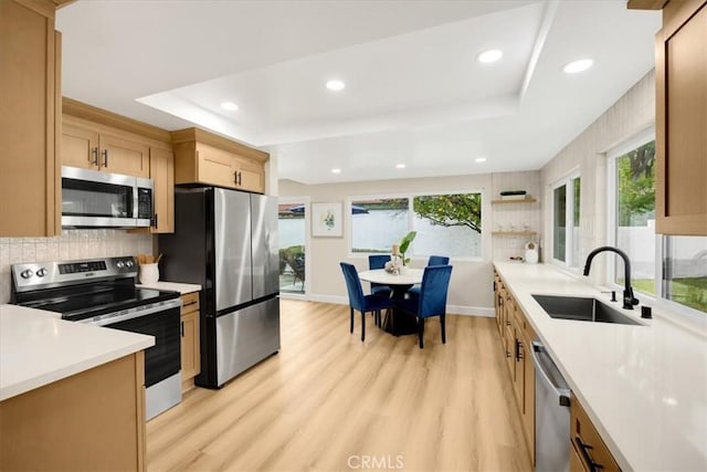 kitchen with decorative backsplash, sink, a tray ceiling, and stainless steel appliances