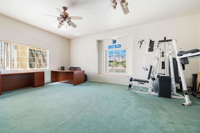 workout area with ceiling fan and carpet flooring