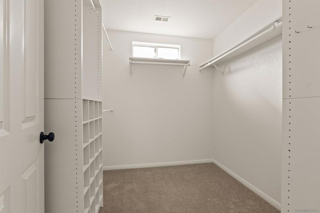 walk in closet with carpet