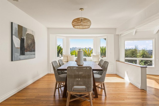 dining room featuring light hardwood / wood-style flooring