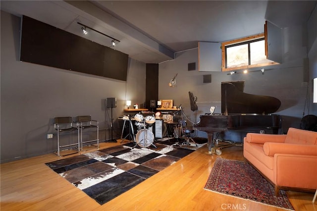 living room featuring hardwood / wood-style flooring and rail lighting