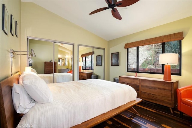 bedroom featuring multiple windows, vaulted ceiling, dark hardwood / wood-style flooring, and two closets