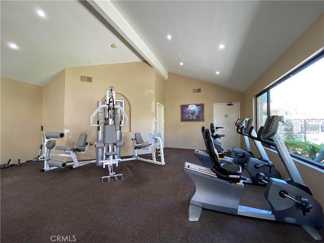 exercise room featuring lofted ceiling