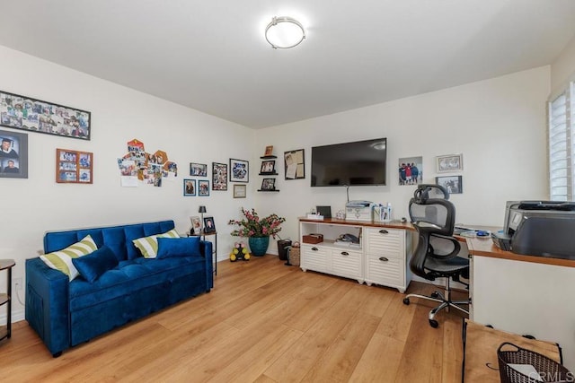 living room featuring hardwood / wood-style flooring