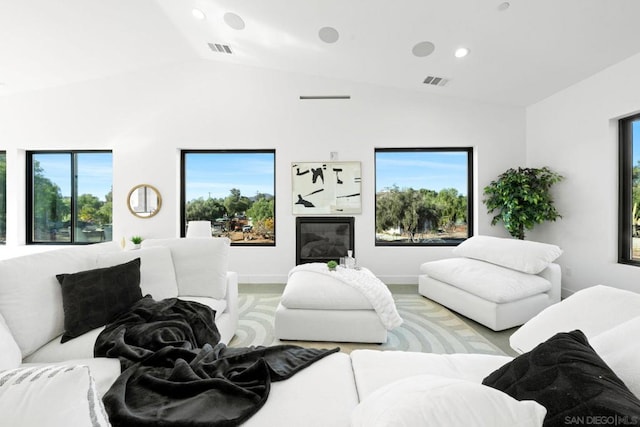 living room with lofted ceiling and a healthy amount of sunlight