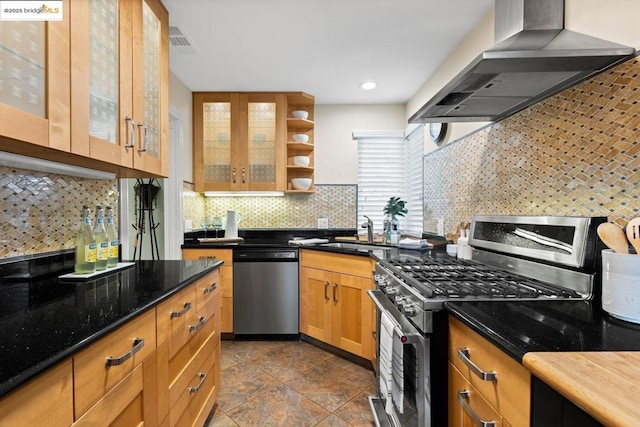 kitchen featuring ventilation hood, appliances with stainless steel finishes, decorative backsplash, and sink