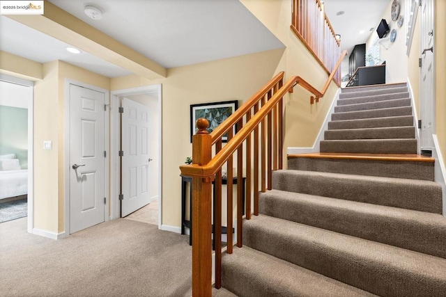 stairs featuring carpet