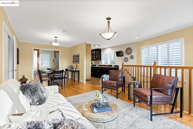 living room featuring light hardwood / wood-style flooring