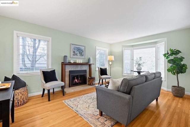 living room with light hardwood / wood-style flooring