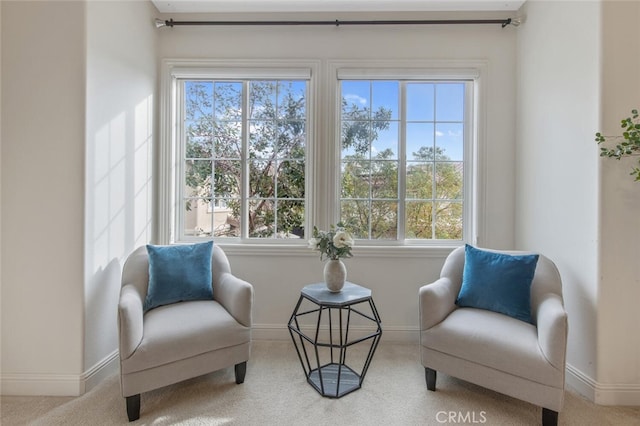 living area with carpet floors